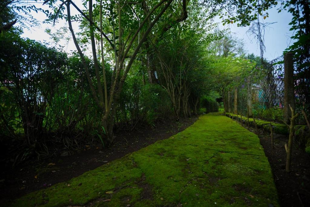 Hotel Kodai International Кодайканал Экстерьер фото